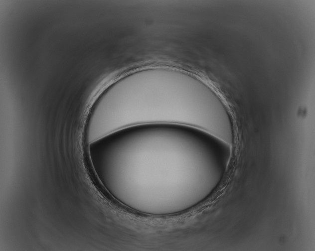 X0000097810007200803140809