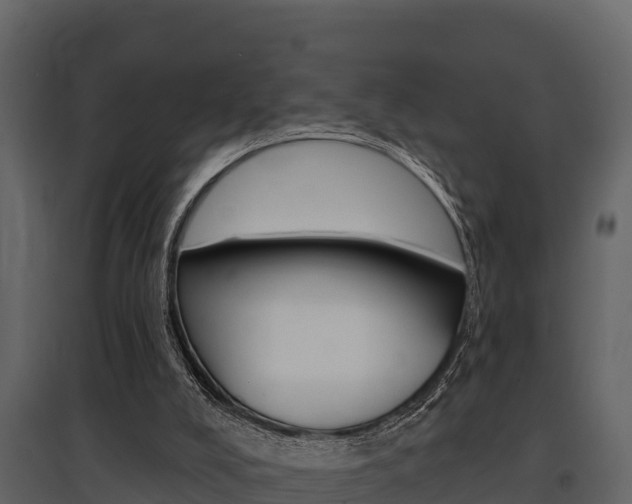 X0000097810008200803140809