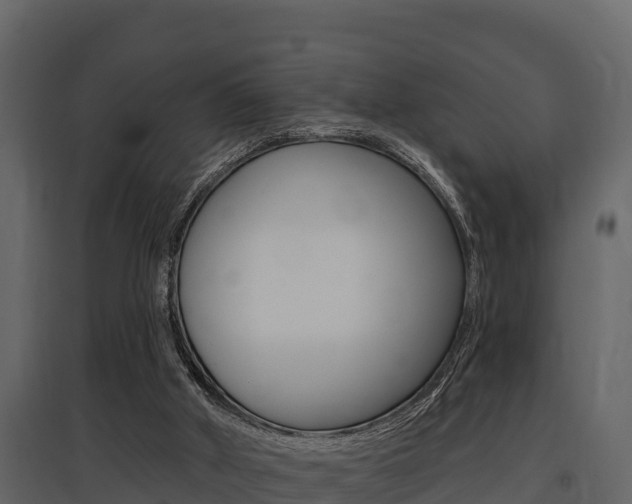X0000097810010200803140809