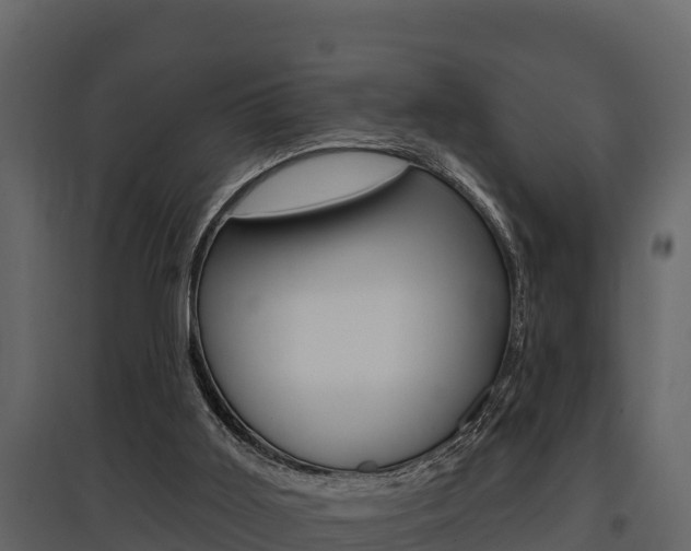 X0000097810011200803140809