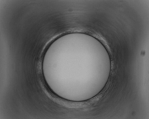 X0000097810012200803140809