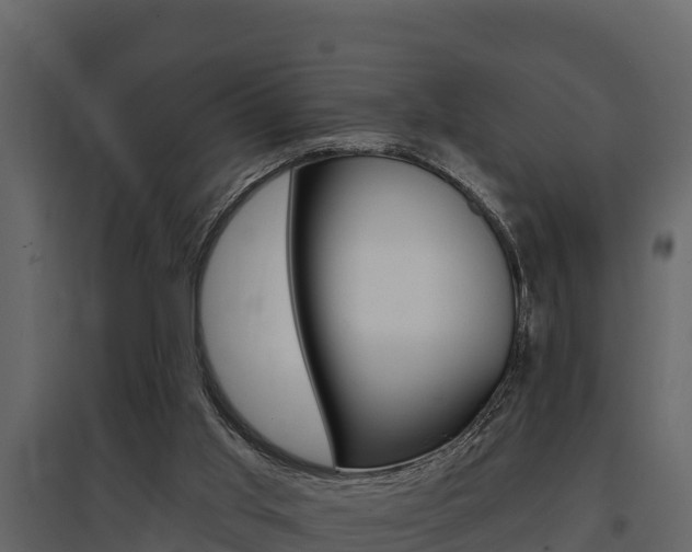 X0000097810013200803140809