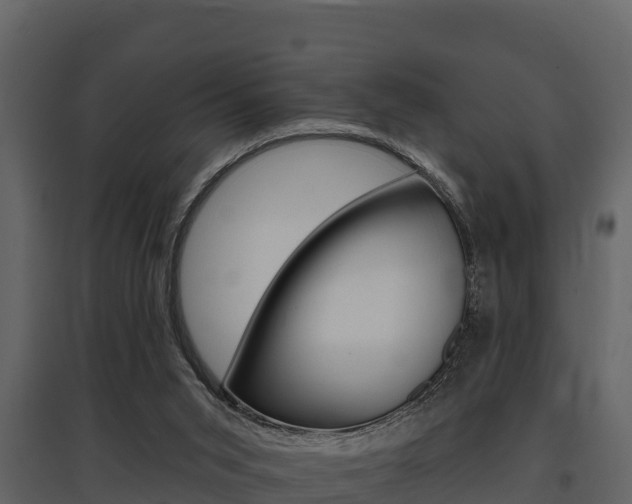 X0000097810015200803140808