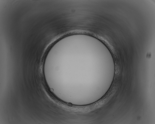 X0000097810016200803140808