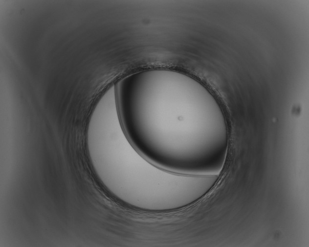 X0000097810017200803140808