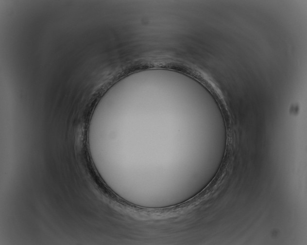 X0000097810018200803140808