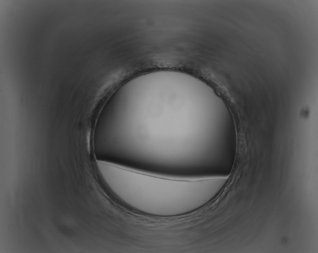 X0000097810019200803140808