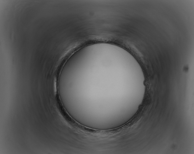 X0000097810020200803140808
