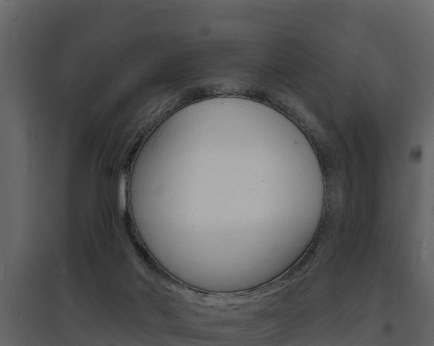 X0000097810022200803140808