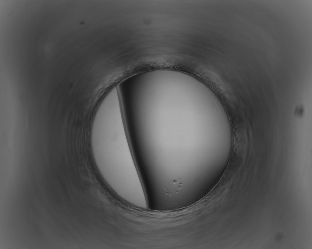 X0000097810023200803140808