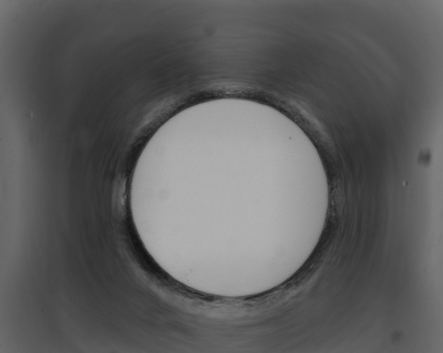 X0000097810024200803140808