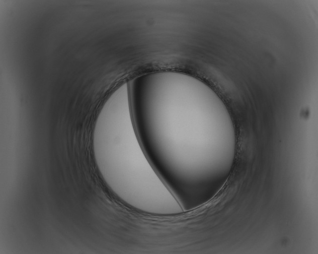 X0000097810025200803140808