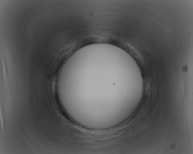 X0000097810026200803140808