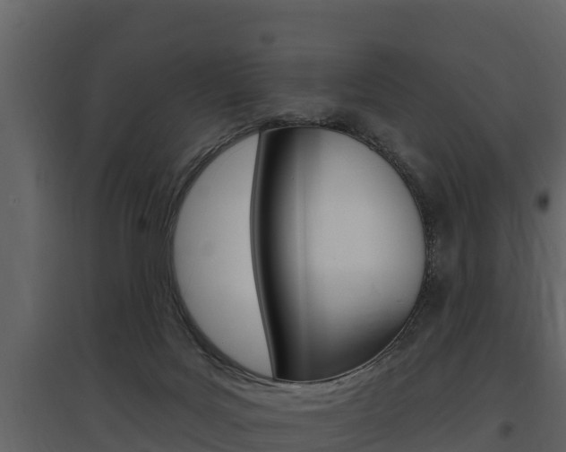 X0000097810027200803140808