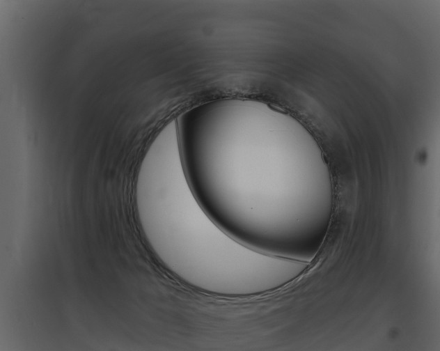 X0000097810029200803140808