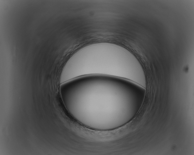 X0000097810031200803140808