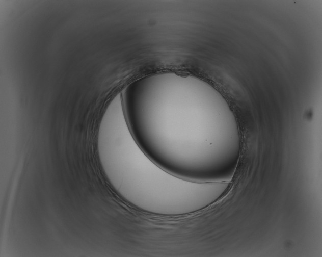 X0000097810033200803140808