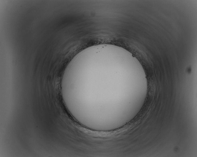 X0000097810034200803140808