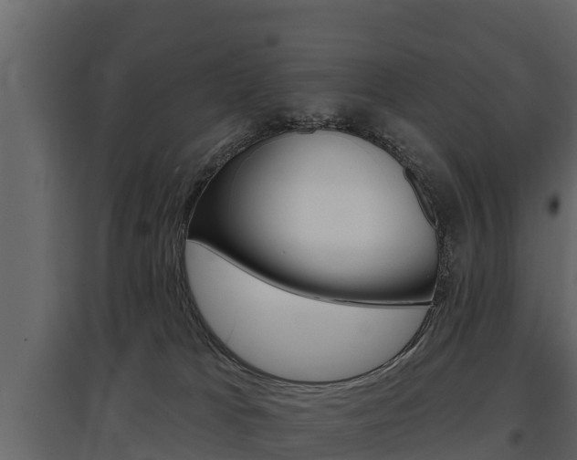 X0000097810037200803140808