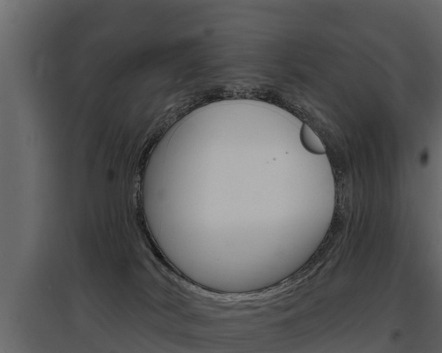 X0000097810038200803140808