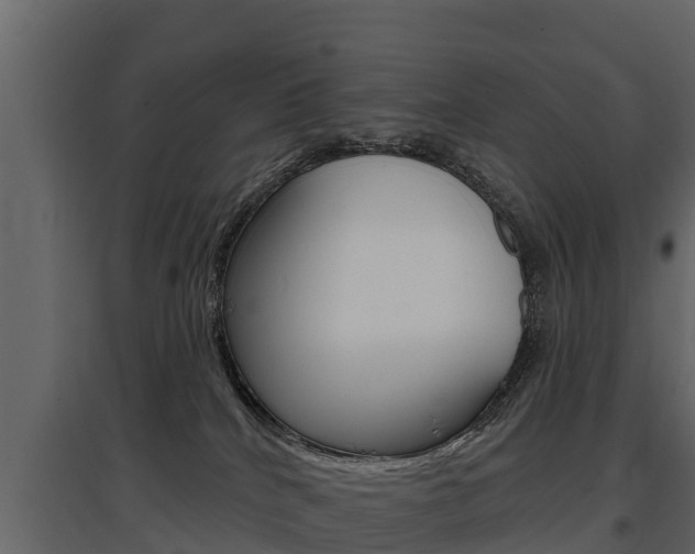 X0000097810040200803140808