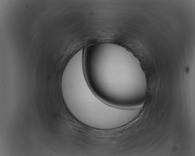 X0000097810041200803140808