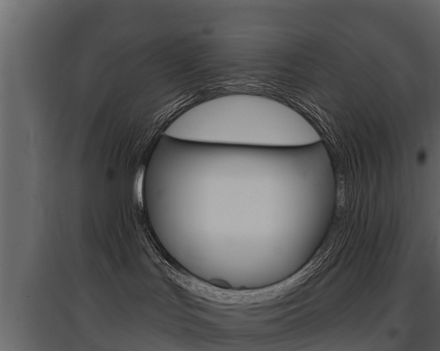 X0000097810047200803140808