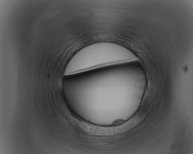 X0000097810048200803140808