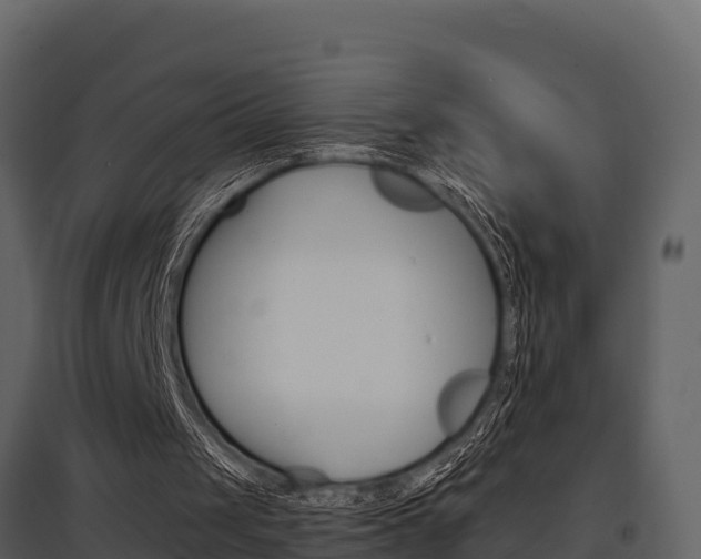 X0000097810049200803140807