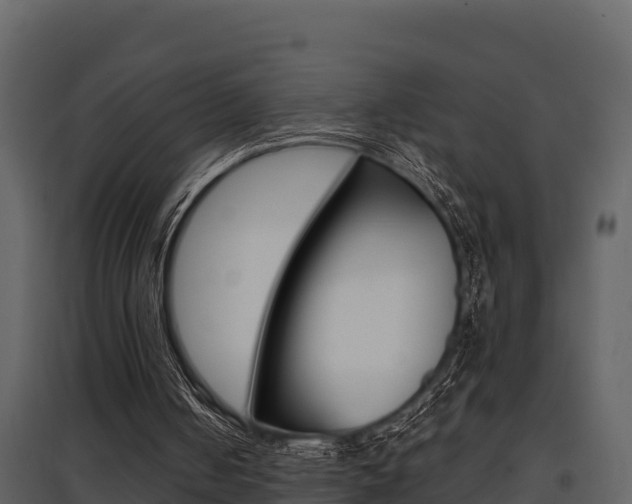 X0000097810050200803140807