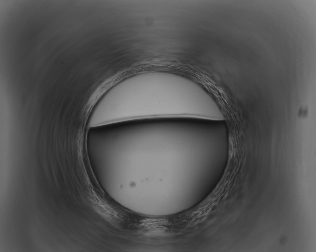 X0000097810051200803140807