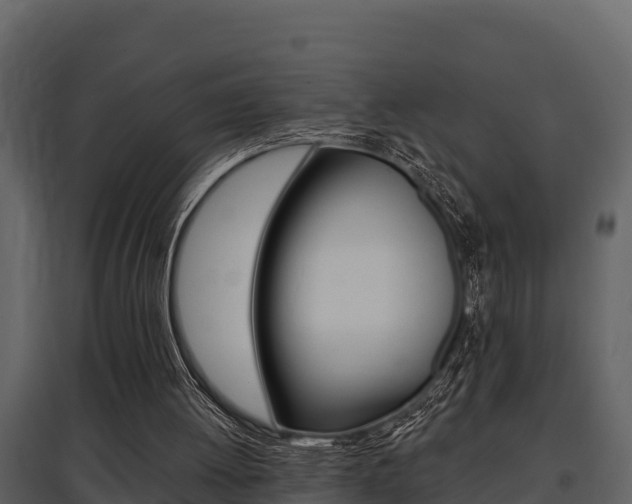 X0000097810052200803140807