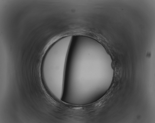 X0000097810054200803140807