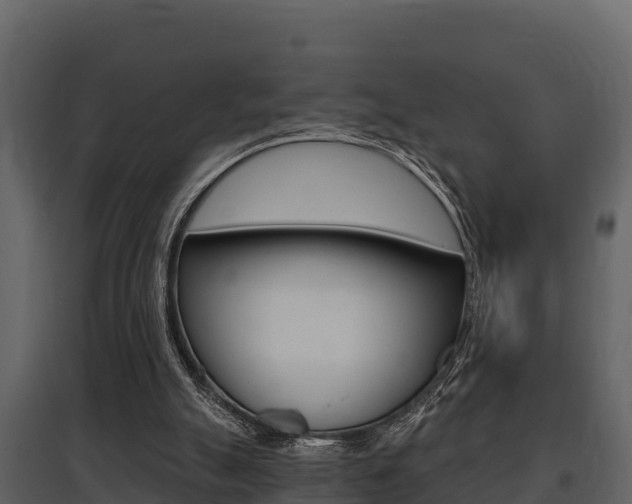 X0000097810055200803140807