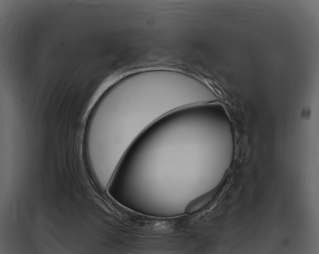 X0000097810056200803140807