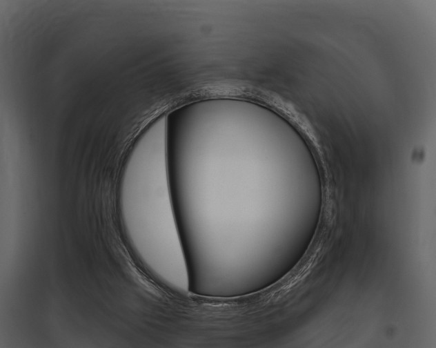 X0000097810057200803140807