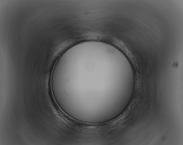 X0000097810058200803140808