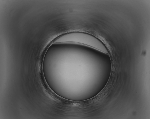 X0000097810060200803140808