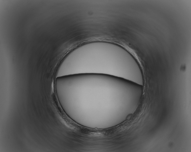 X0000097810061200803140808
