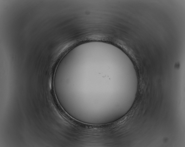 X0000097810062200803140808