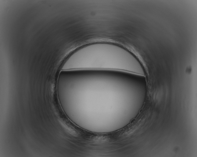X0000097810063200803140808