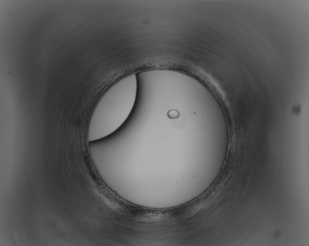 X0000097810065200803140808