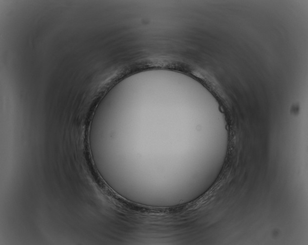 X0000097810066200803140808