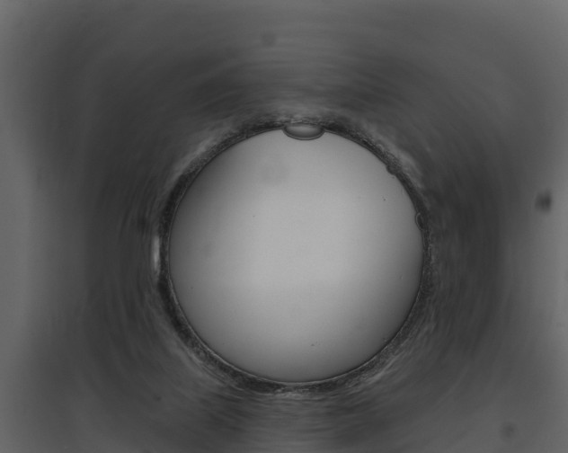X0000097810067200803140808