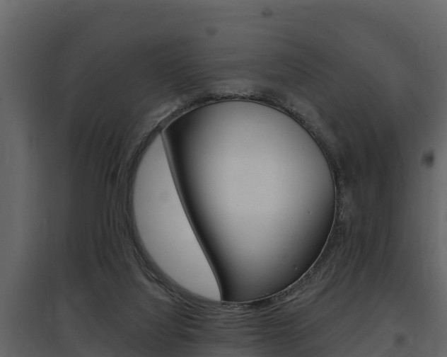 X0000097810068200803140808