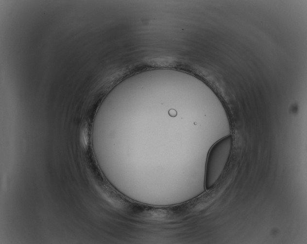 X0000097810069200803140808