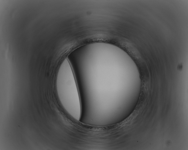X0000097810070200803140808