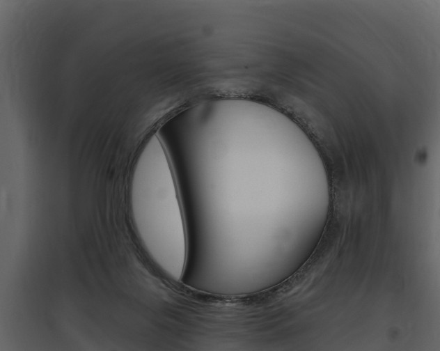 X0000097810071200803140808
