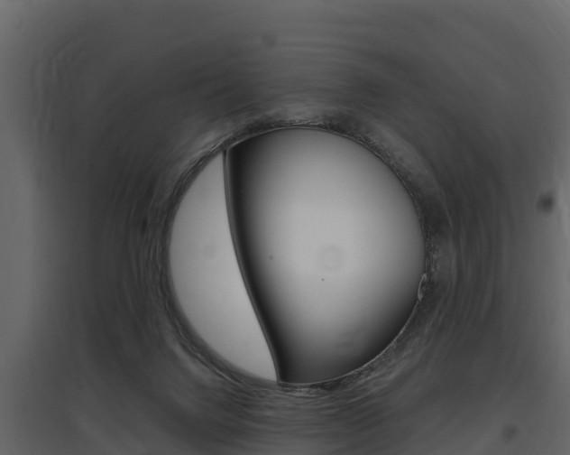 X0000097810072200803140808