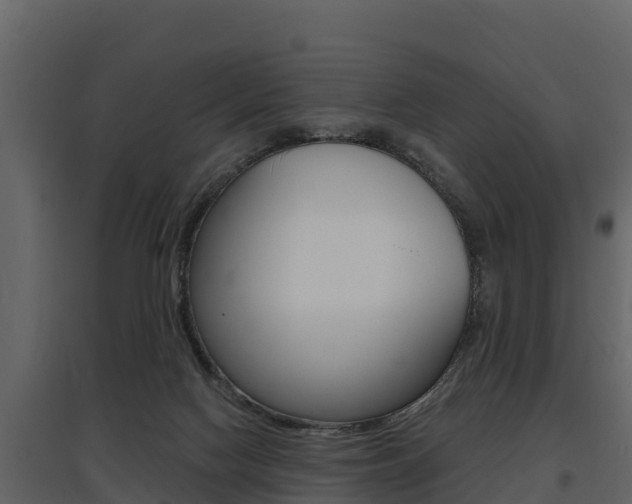 X0000097810074200803140808
